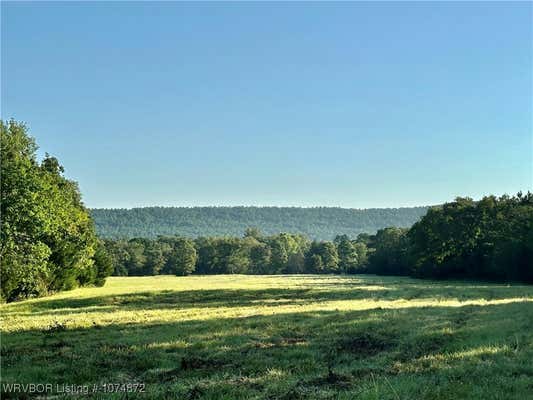 TRACT 2 DEADMAN TRAIL, WISTER, OK 74966 - Image 1