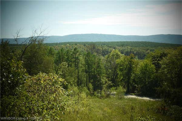 47 ACRES BETHEL ROAD, MAGAZINE, AR 72943 - Image 1