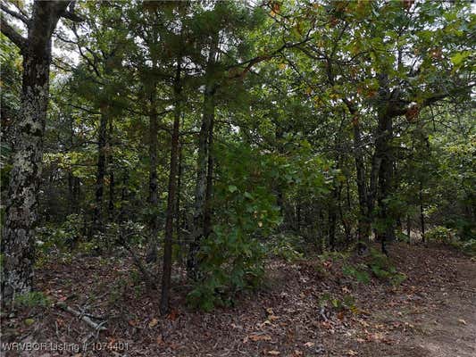 TBD RURAL HASKELL CO., MCCURTAIN, OK 74944 - Image 1