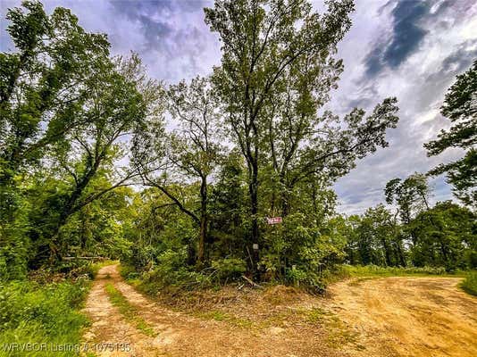 TBD HIGH ROCK LANE, RUDY, AR 72952 - Image 1