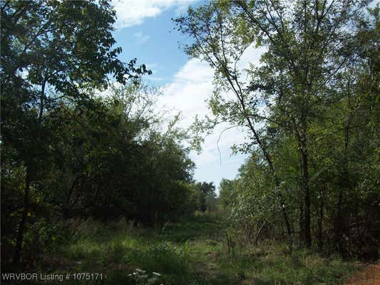 TBD BIG PINE DRIVE, VAN BUREN, AR 72956, photo 3 of 9