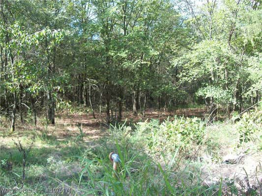 TBD BIG PINE DRIVE, VAN BUREN, AR 72956, photo 4 of 9