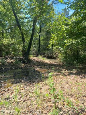 TBD FARM FRUIT ROAD, WISTER, OK 74966 - Image 1