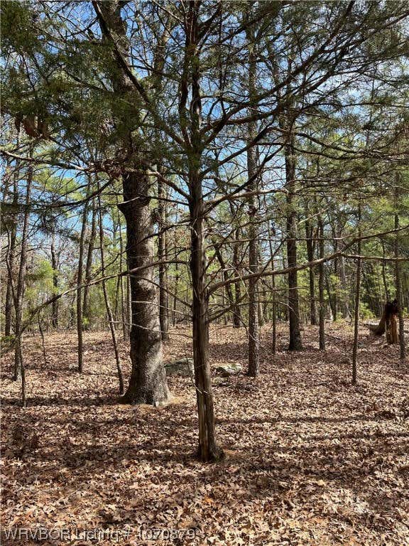 TBD 215 B & D, ANTLERS, OK 74523, photo 1 of 50