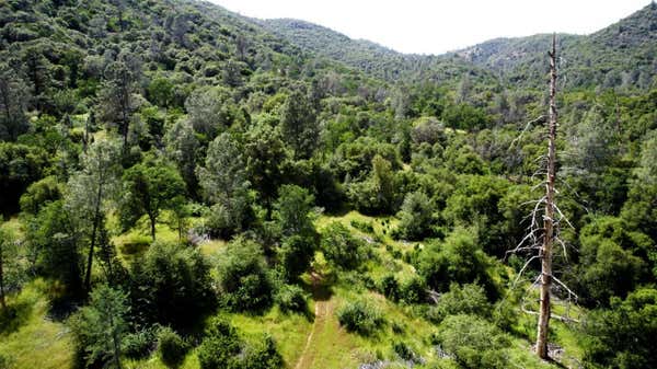 2 ROAD 200, COARSEGOLD, CA 93614 - Image 1