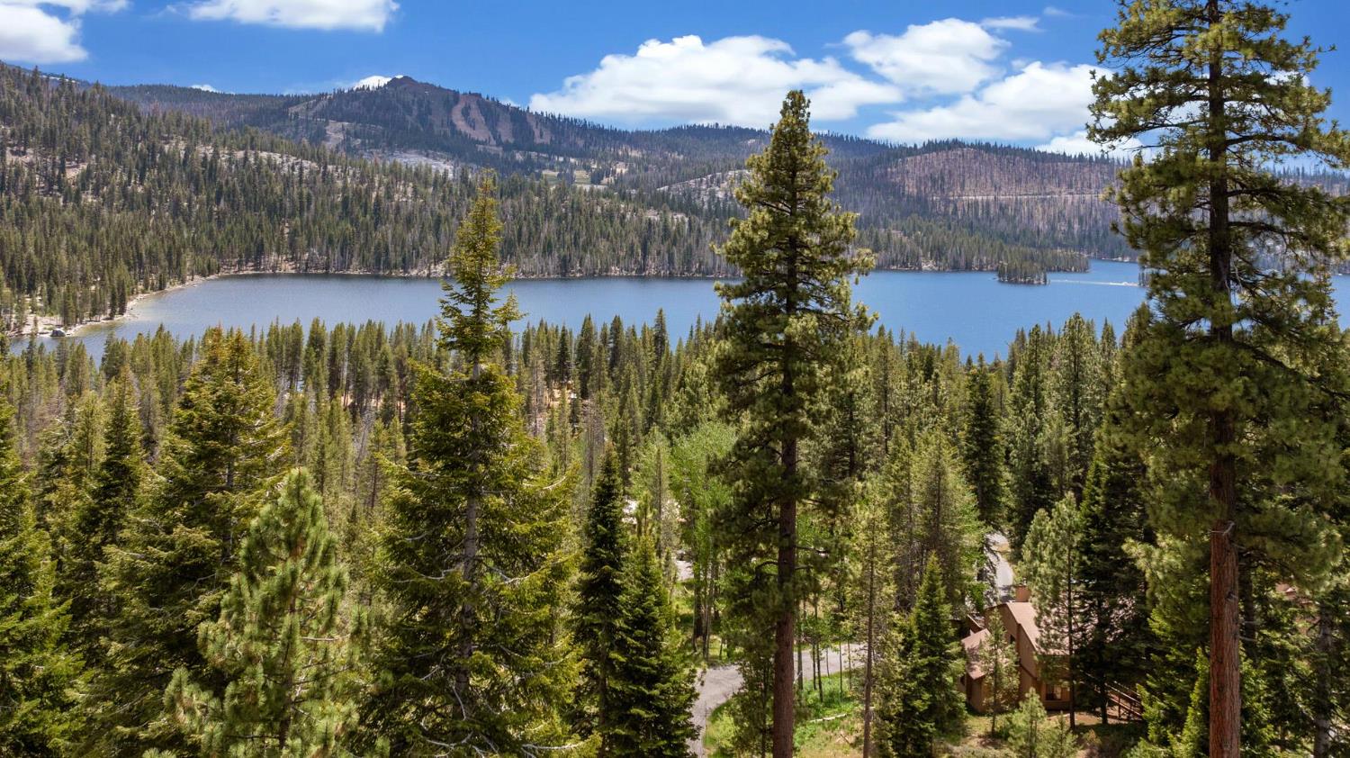 Lakeshore, California, 93634, United States, 3 Bedrooms Bedrooms, ,3 BathroomsBathrooms,Residential,Active,1844543