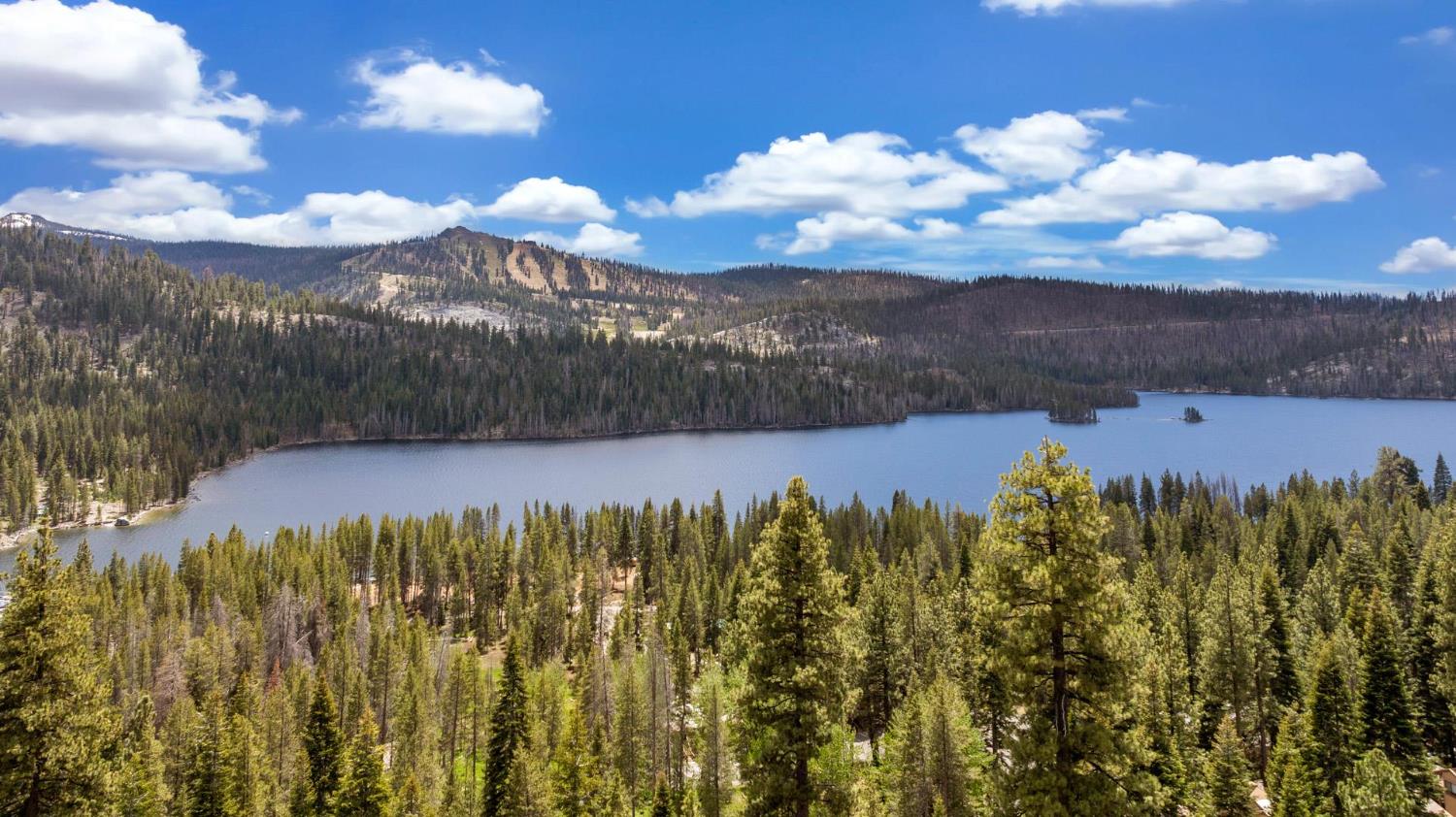 Lakeshore, California, 93634, United States, 3 Bedrooms Bedrooms, ,3 BathroomsBathrooms,Residential,Active,1844543