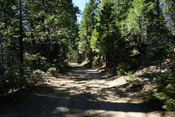 0 PROVIDENCE CREEK ROAD, SHAVER LAKE, CA 93664 - Image 1