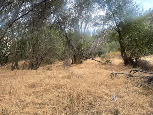 43020 APACHE RANCH RD, AHWAHNEE, CA 93601 - Image 1