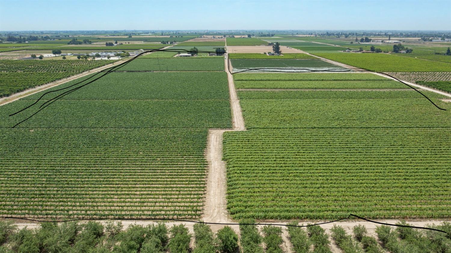 Selma, California, 93662, United States, 3 Bedrooms Bedrooms, ,3 BathroomsBathrooms,Residential,Active,2052138