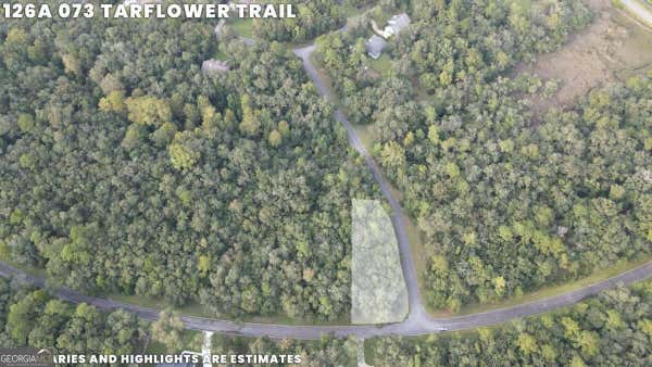 LOT 73 TAR FLOWER TRAIL, WAVERLY, GA 31565 - Image 1