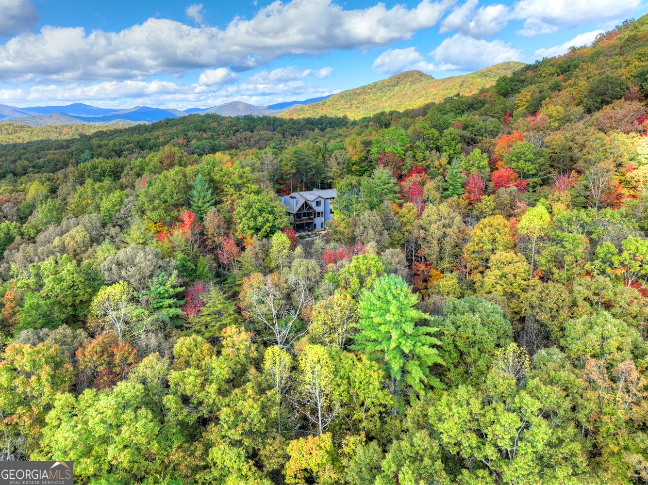 Ellijay, Georgia, 30540, United States, 5 Bedrooms Bedrooms, ,4 BathroomsBathrooms,Residential,Active,1954017