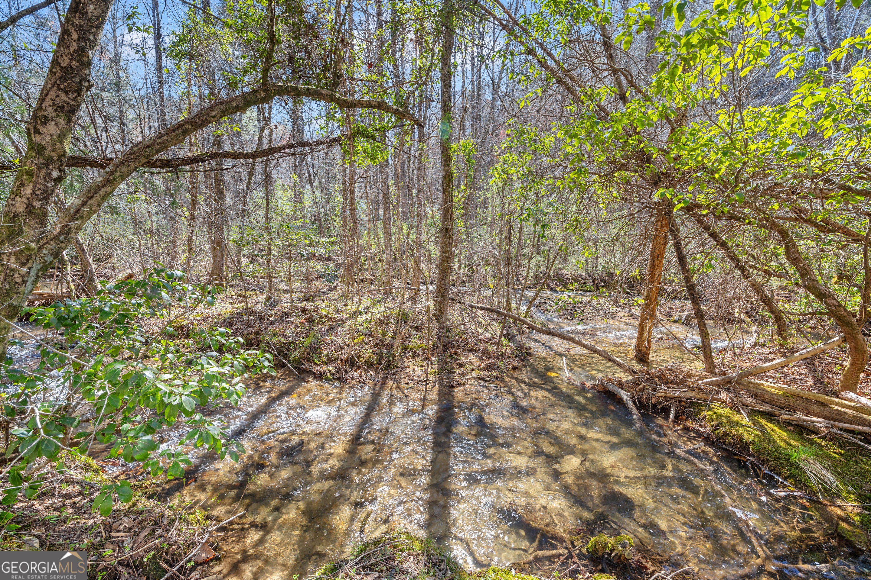 Cherry Log, Georgia, 30522, United States, 4 Bedrooms Bedrooms, ,5 BathroomsBathrooms,Residential,Active,2044142