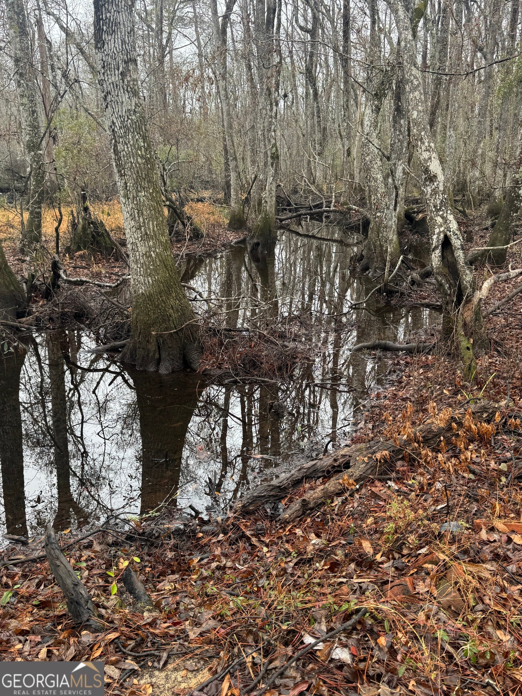 Portal, Georgia, 30450, United States, 5 Bedrooms Bedrooms, ,4 BathroomsBathrooms,Residential,Active,2015440