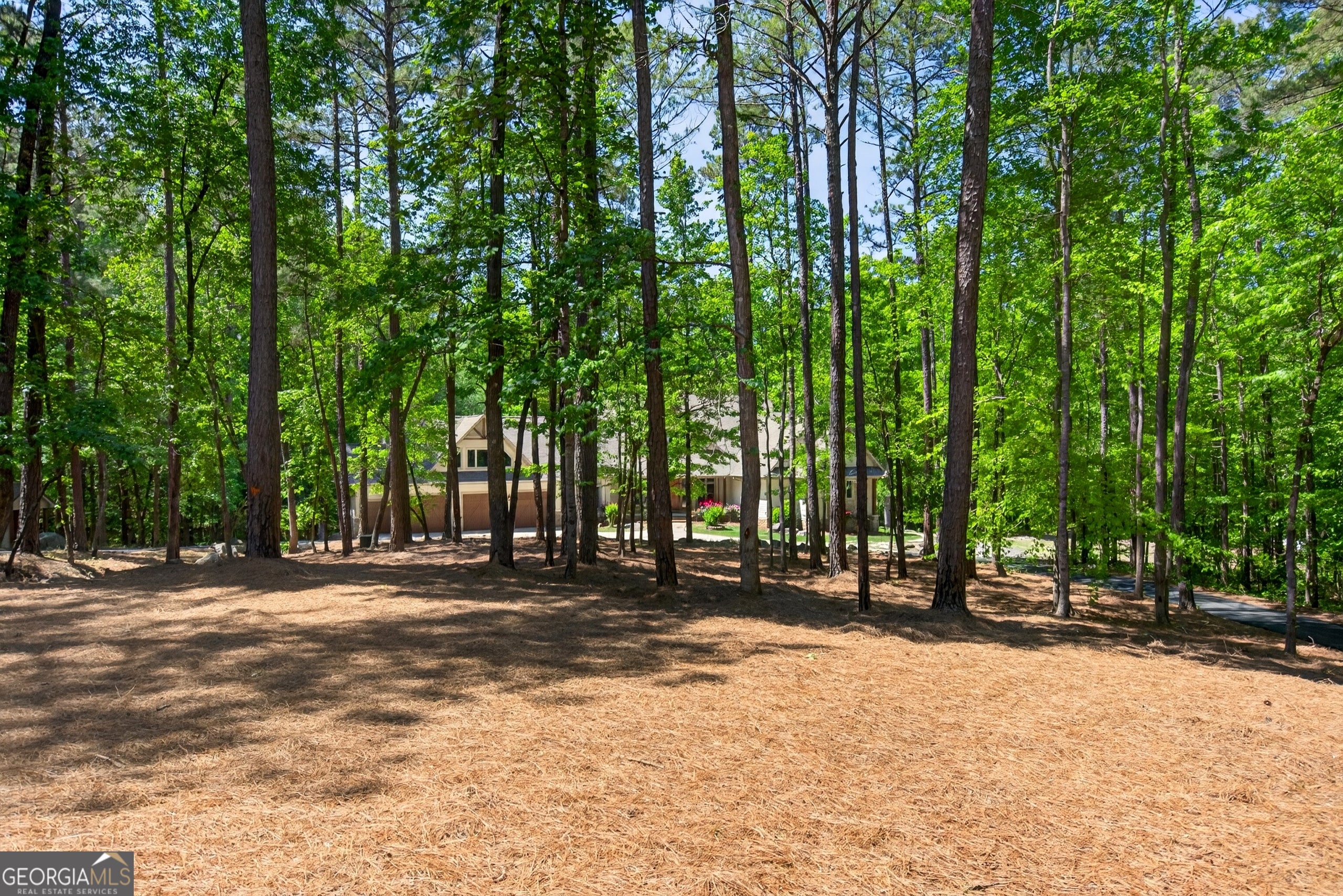 Cataula, Georgia, 31804, United States, 5 Bedrooms Bedrooms, ,5 BathroomsBathrooms,Residential,Active,2044194
