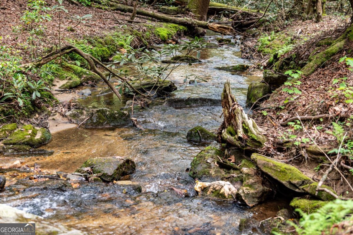 Ellijay, Georgia, 30536, United States, ,4 BathroomsBathrooms,Residential,Active,1806919