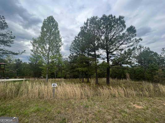 LOT 65 VILLAGE LOOP, BLAIRSVILLE, GA 30512 - Image 1