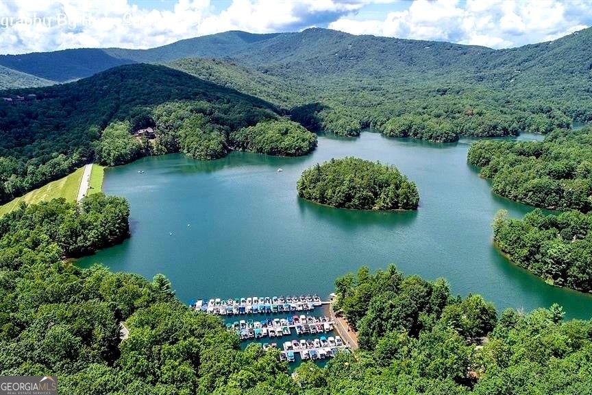 Big Canoe, Georgia, 30143, United States, 5 Bedrooms Bedrooms, ,5 BathroomsBathrooms,Residential,Active,2041781
