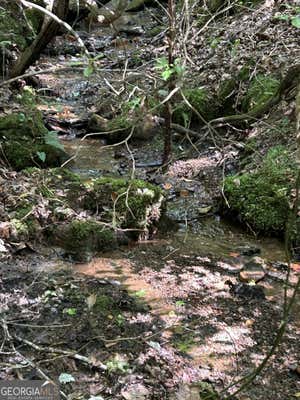 0 PINE LOG CHURCH ROAD, BRASSTOWN, NC 28902, photo 2 of 9