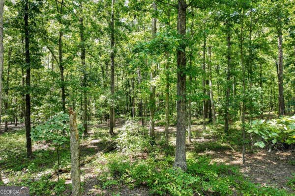 0 CEMETERY CIRCLE, COMER, GA 30629 - Image 1