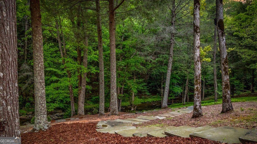 Cherry Log, Georgia, 30522, United States, 5 Bedrooms Bedrooms, ,5 BathroomsBathrooms,Residential,Active,2045694