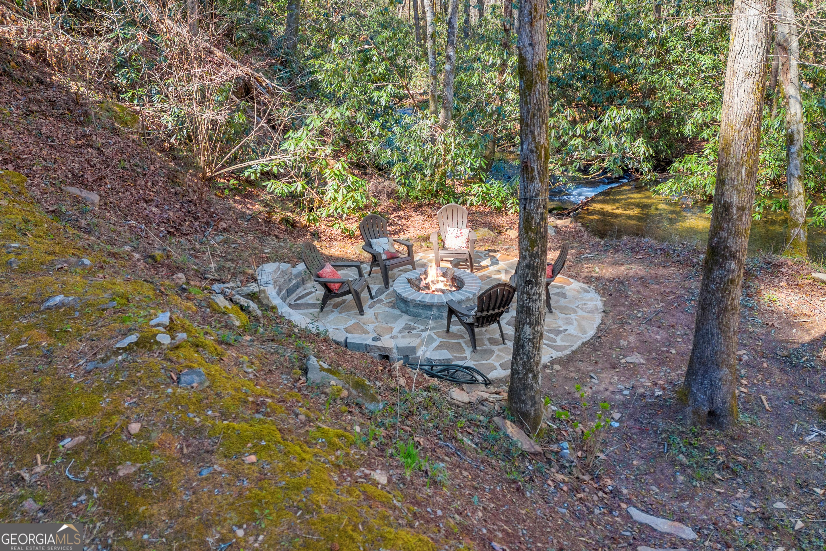 Cherry Log, Georgia, 30522, United States, 4 Bedrooms Bedrooms, ,5 BathroomsBathrooms,Residential,Active,2044142