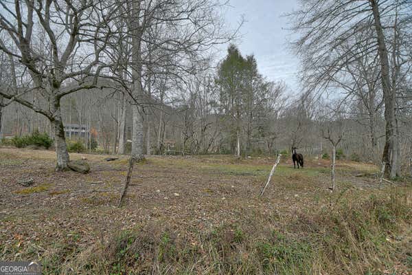 164 ASA COVE LN, RABUN GAP, GA 30568, photo 4 of 61