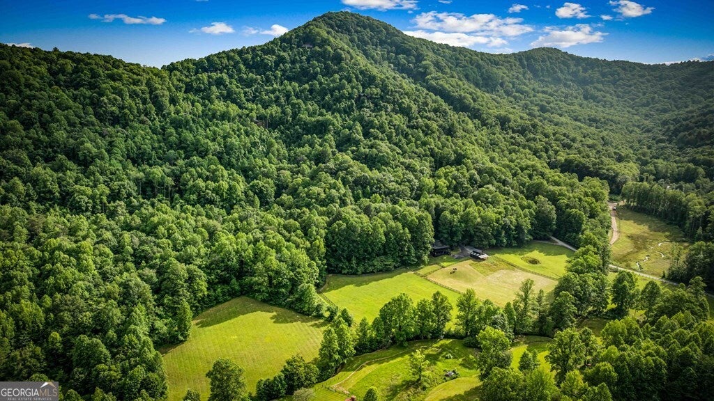 Blue Ridge, Georgia, 30513, United States, 3 Bedrooms Bedrooms, ,4 BathroomsBathrooms,Residential,Active,2008014