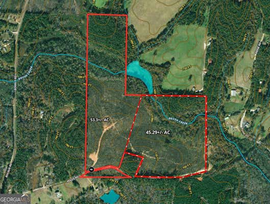 45.29+/- AC NOLES ROAD, FRANKLIN, GA 30217 - Image 1