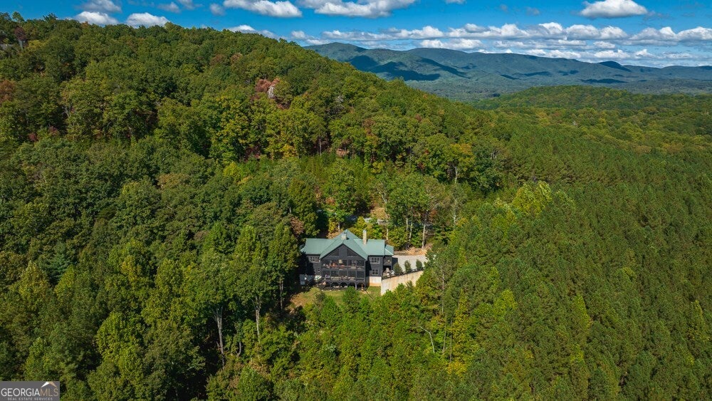 Ellijay, Georgia, 30536, United States, 6 Bedrooms Bedrooms, ,5 BathroomsBathrooms,Residential,Active,1936401