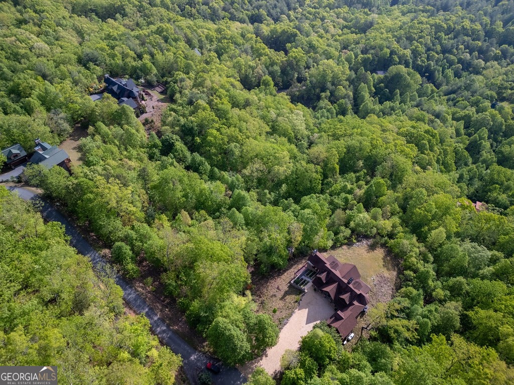 Mineral Bluff, Georgia, 30559, United States, 4 Bedrooms Bedrooms, ,5 BathroomsBathrooms,Residential,Active,2044577