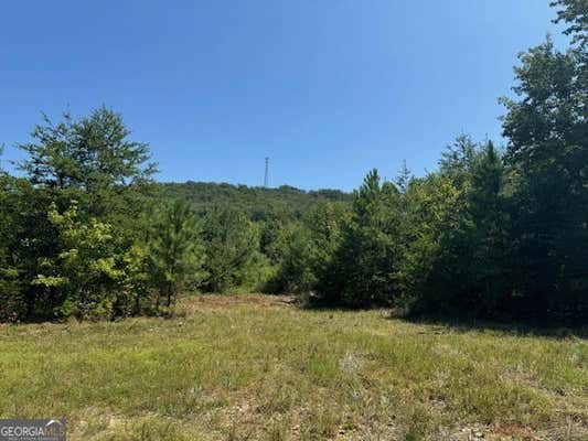 PARCEL #1 CHEROKEE HILLS DRIVE # 125 ACRES, RYDAL, GA 30171 - Image 1