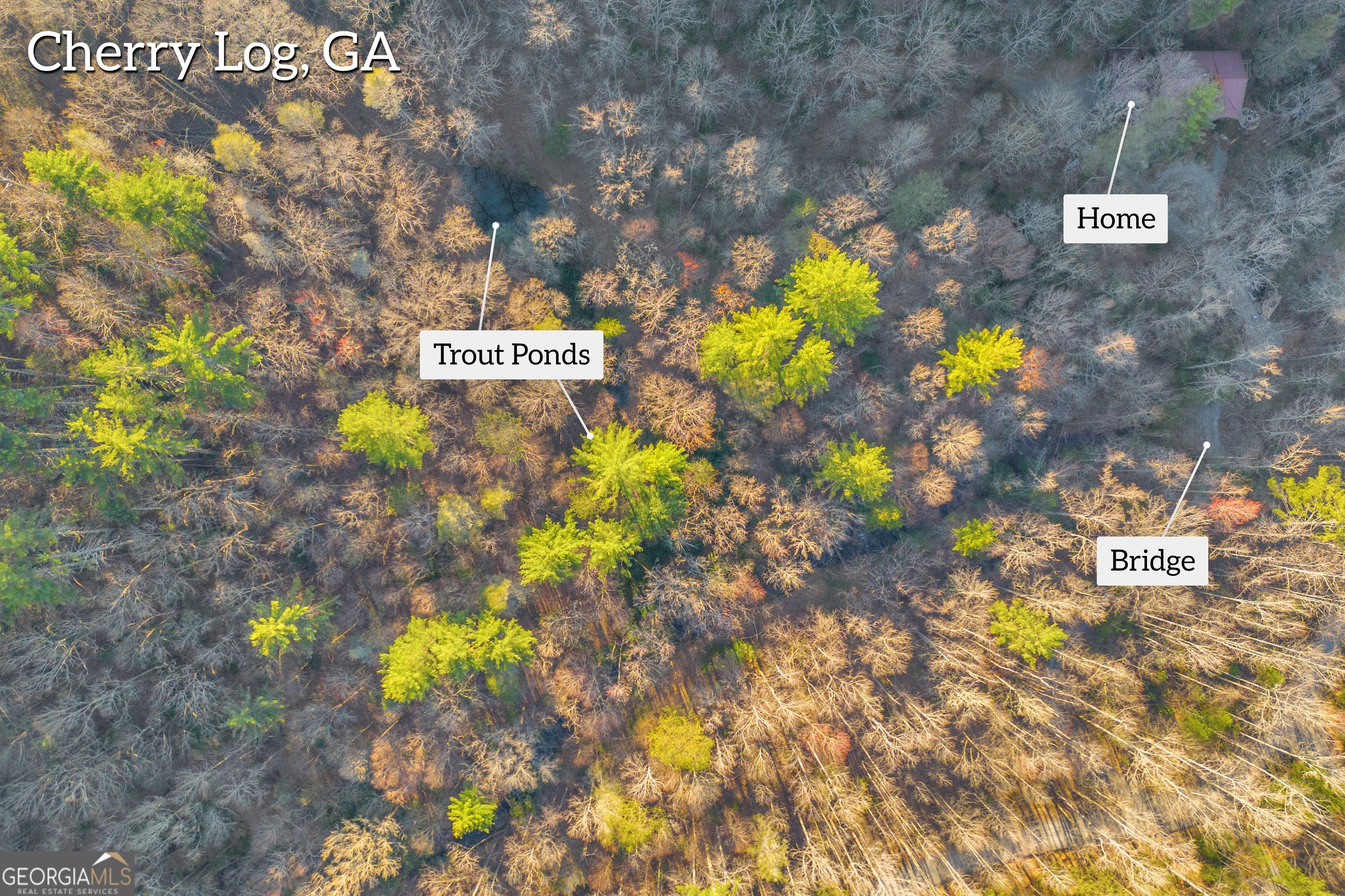 Cherry Log, Georgia, 30522, United States, 4 Bedrooms Bedrooms, ,5 BathroomsBathrooms,Residential,Active,1960146