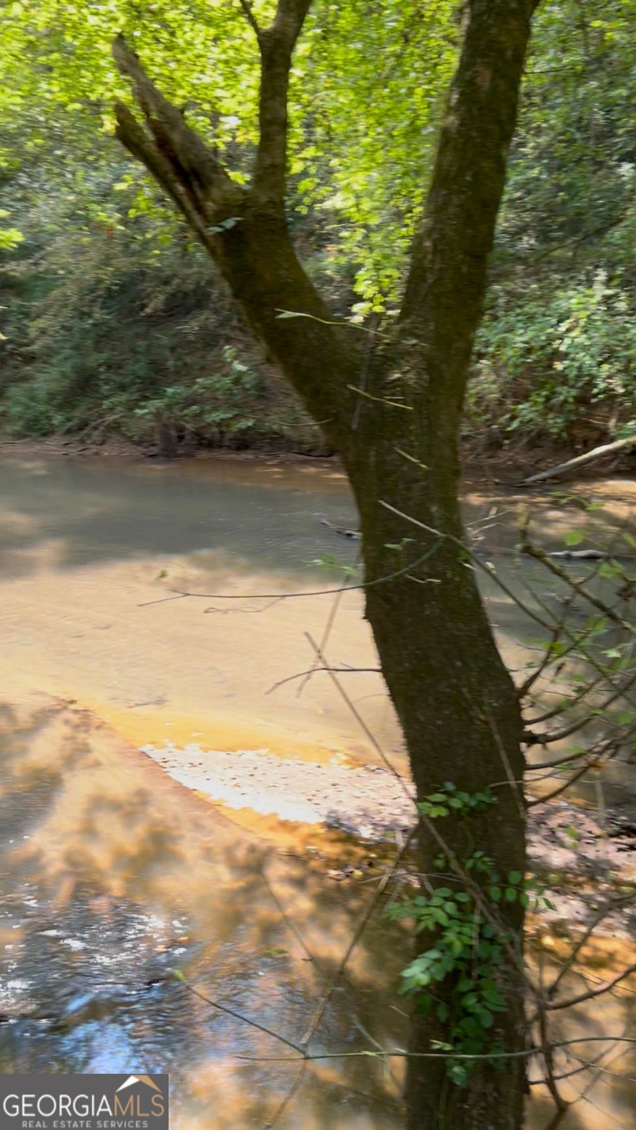 Commerce, Georgia, 30529, United States, 4 Bedrooms Bedrooms, ,3 BathroomsBathrooms,Residential,Active,1963280