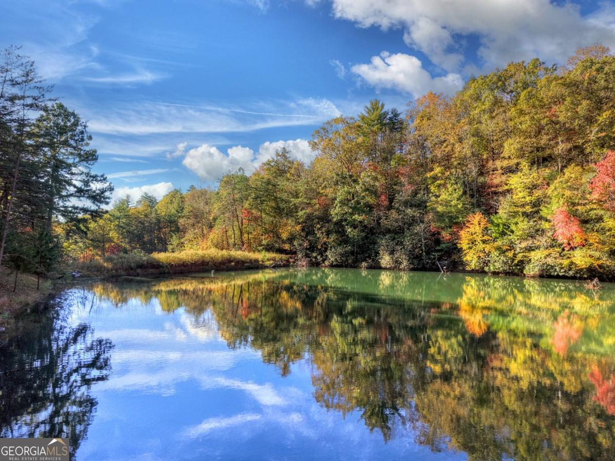 Ellijay, Georgia, 30540, United States, 4 Bedrooms Bedrooms, ,3 BathroomsBathrooms,Residential,Active,1971791