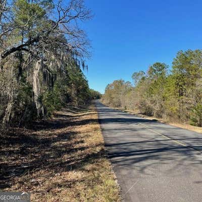 100+/- ACRES EA PINEVILLE ROAD, BUENA VISTA, GA 31803 - Image 1