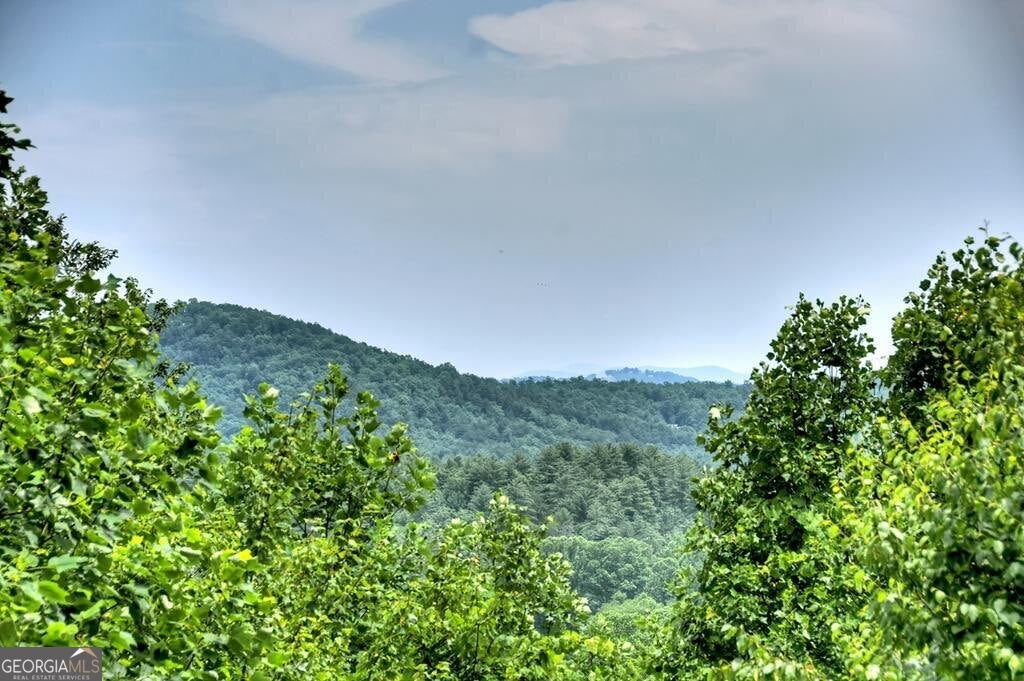 Blue Ridge, Georgia, 30513, United States, 4 Bedrooms Bedrooms, ,4 BathroomsBathrooms,Residential,Active,1877829