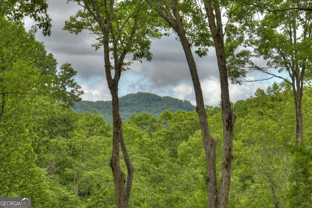Ellijay, Georgia, 30536, United States, 5 Bedrooms Bedrooms, ,6 BathroomsBathrooms,Residential,Active,1953697 Ellijay, Georgia, 30536, United States, 5 Bedrooms Bedrooms, ,6 BathroomsBathrooms,Residential,Active,1953697