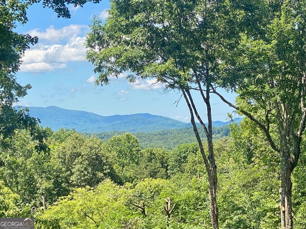 Morganton, Georgia, 30560, United States, 4 Bedrooms Bedrooms, ,6 BathroomsBathrooms,Residential,Active,1945076