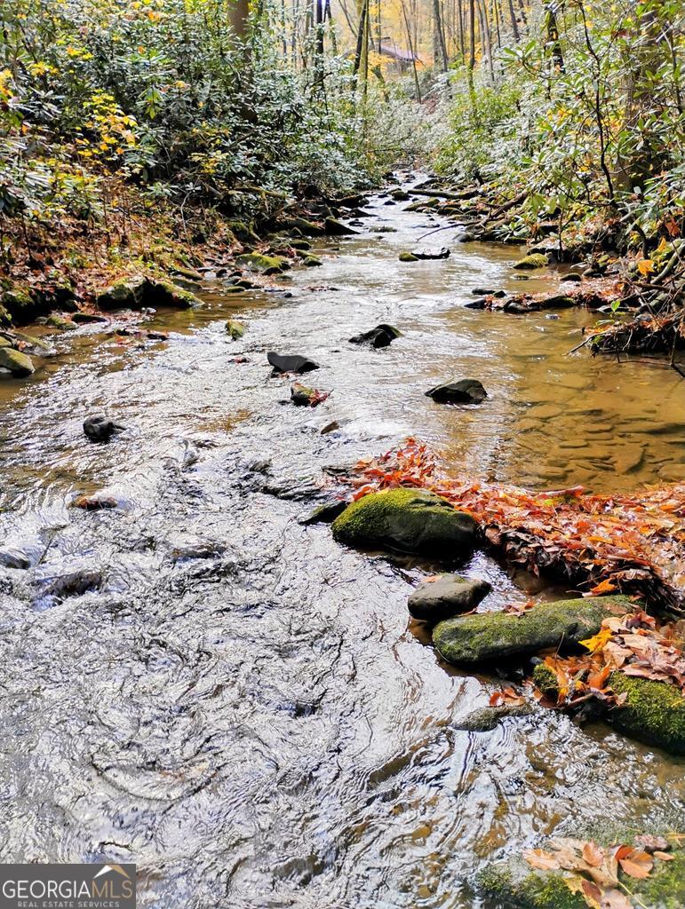 Cherry Log, Georgia, 30522, United States, 4 Bedrooms Bedrooms, ,5 BathroomsBathrooms,Residential,Active,1960146