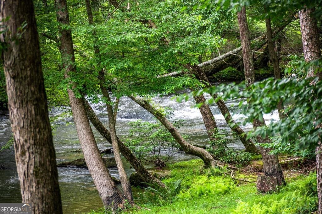 Ellijay, Georgia, 30536, United States, 4 Bedrooms Bedrooms, ,3 BathroomsBathrooms,Residential,Active,1863308