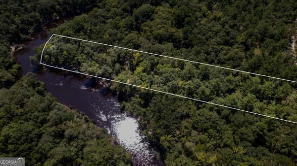 LOT 28 RIVER TRAIL, NAYLOR, GA 31641, photo 2 of 6