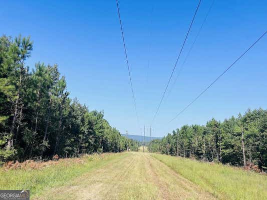 0 COUNTY ROAD 235 # TRACT 3, LEESBURG, AL 35983 - Image 1