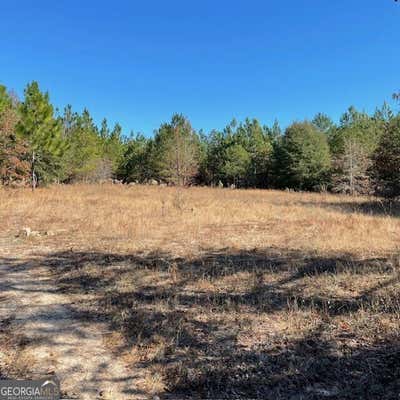 121+/- ACRES PINEVILLE ROAD, BUENA VISTA, GA 31803 - Image 1