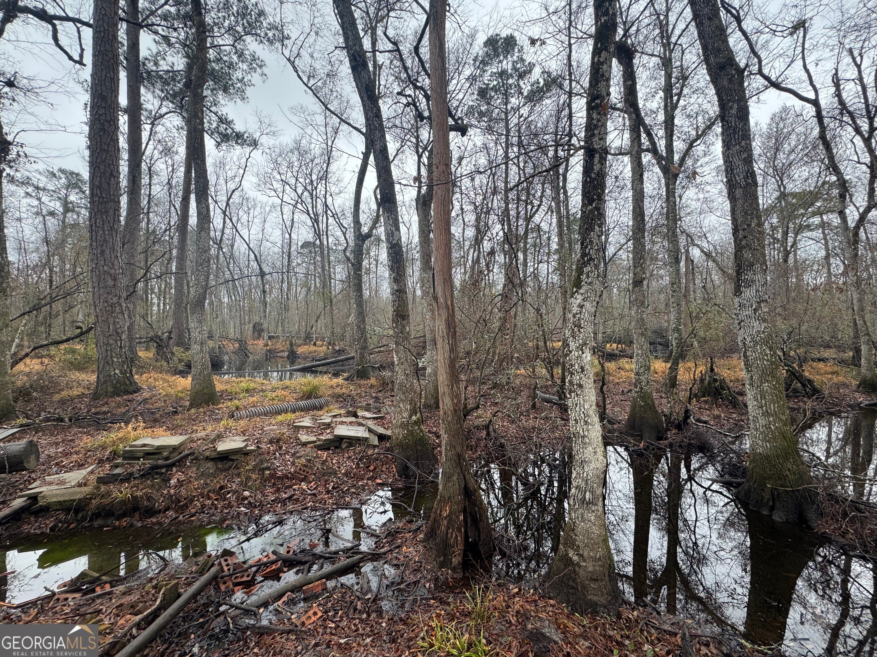 Portal, Georgia, 30450, United States, 5 Bedrooms Bedrooms, ,4 BathroomsBathrooms,Residential,Active,2015440