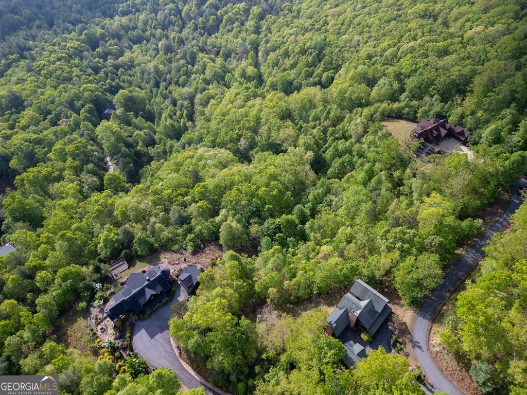 Mineral Bluff, Georgia, 30559, United States, 4 Bedrooms Bedrooms, ,5 BathroomsBathrooms,Residential,Active,2044577