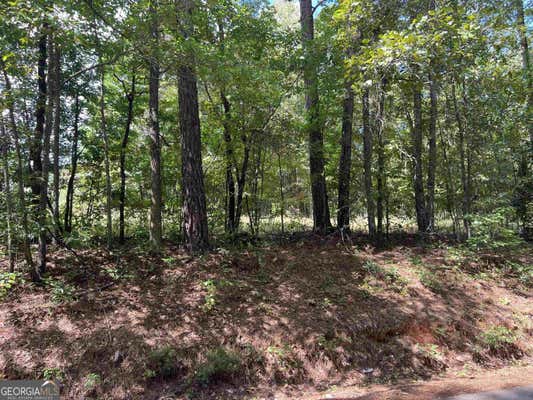 LOT 15 WEEMS ROAD, MOLENA, GA 30258 - Image 1