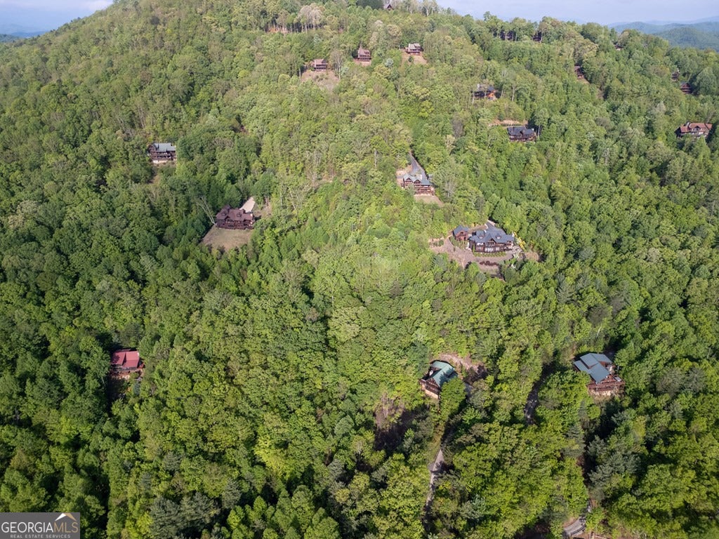 Mineral Bluff, Georgia, 30559, United States, 4 Bedrooms Bedrooms, ,5 BathroomsBathrooms,Residential,Active,2044577