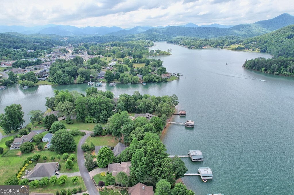 Hiawassee, Georgia, 30546, United States, 4 Bedrooms Bedrooms, ,4 BathroomsBathrooms,Residential,Active,1718878