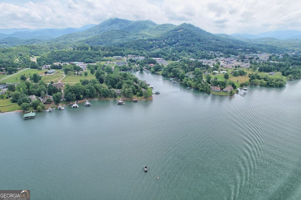 Hiawassee, Georgia, 30546, United States, 4 Bedrooms Bedrooms, ,4 BathroomsBathrooms,Residential,Active,1718878